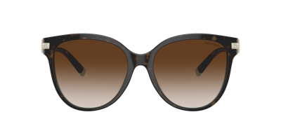 Shop Tiffany & Co . Woman Sunglass Tf4193b In Brown Gradient