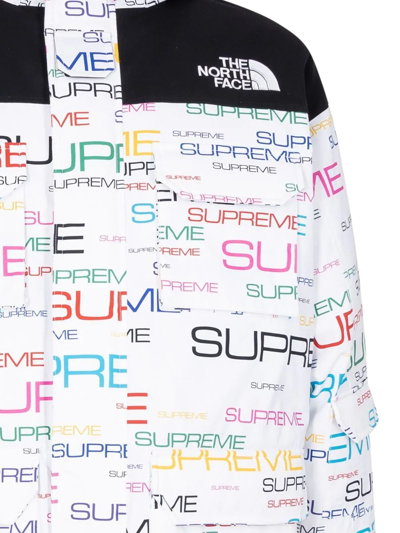 Supreme X Tnf Coldworks 700-fill Down Parka In White