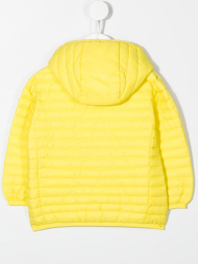 Shop Save The Duck Padded Logo Patch Jacket In Yellow