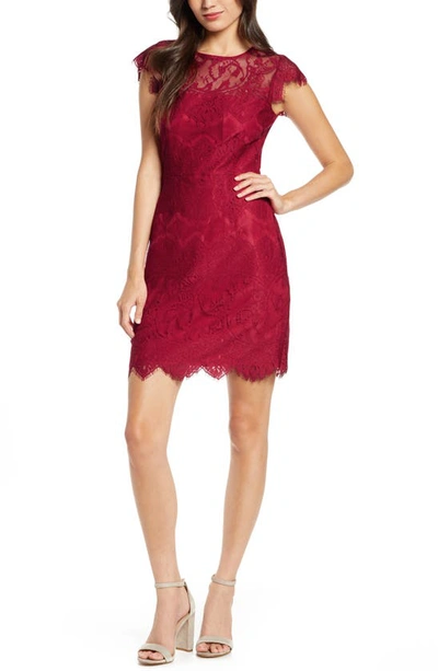 Shop Bb Dakota Jayce Lace Sheath Cocktail Dress In Scooter Red