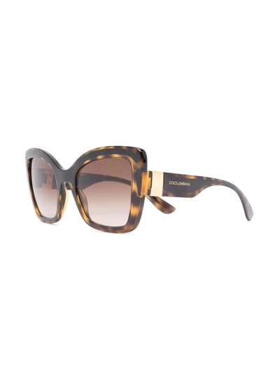 Shop Dolce & Gabbana Oversize Cat-eye Sunglasses In Brown