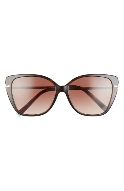 Shop Tiffany & Co 57mm Cat Eye Sunglasses In Havana