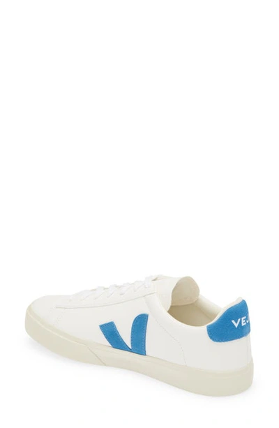 Shop Veja Gender Inclusive Campo Sneaker In Extra White/ Swedish Blue