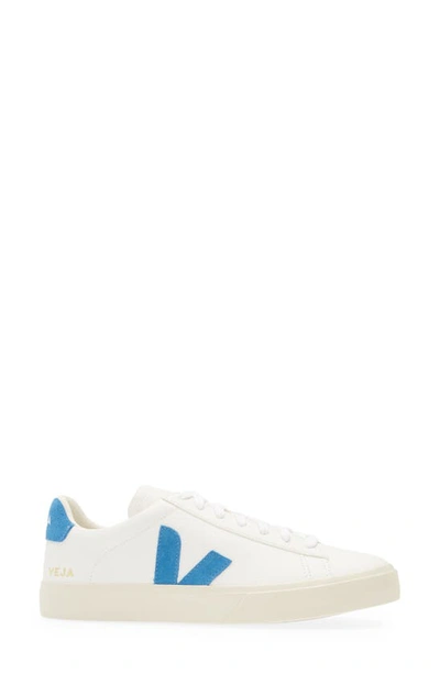 Shop Veja Gender Inclusive Campo Sneaker In Extra White/ Swedish Blue