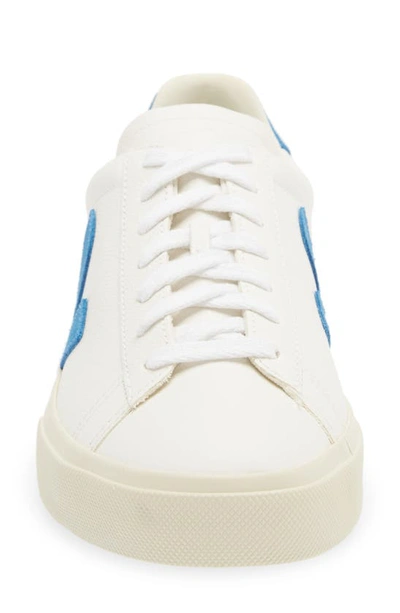 Shop Veja Gender Inclusive Campo Sneaker In Extra White/ Swedish Blue