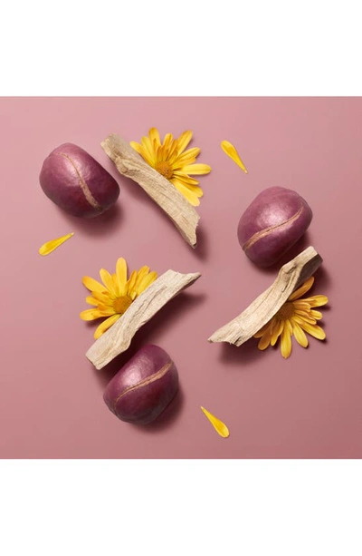 Hermes Istible Infused Lip Care Oil In 05 Rose Kola