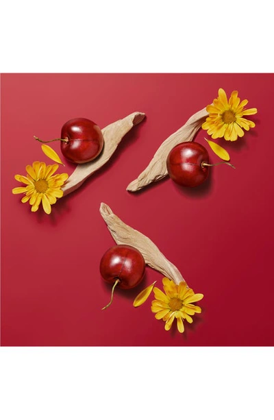 Hermes Women's Hermèsistible Infused Lip Care Oil In 04 Rouge Amarelle