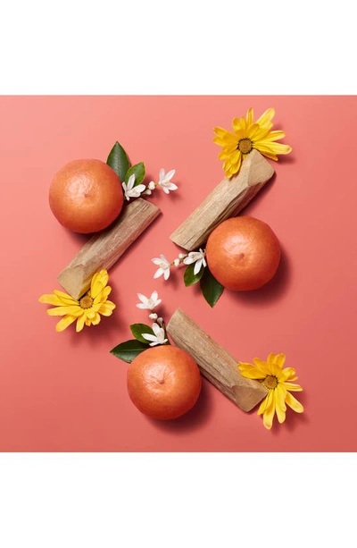 Hermes Women's Hermèsistible Infused Lip Care Oil In 02 Corail Bigarade
