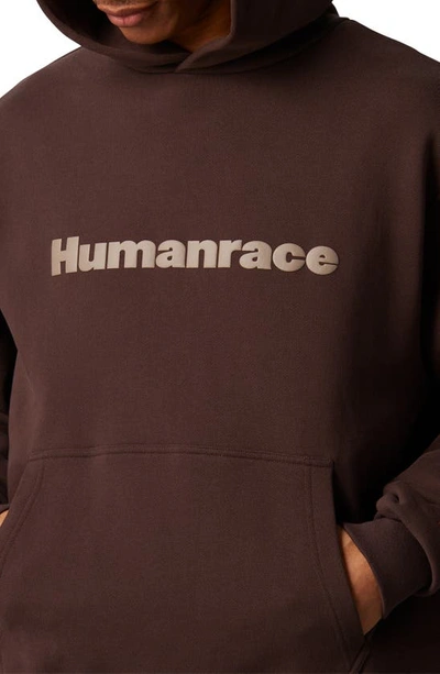 Adidas Originals Adidas X Pharrell Williams Humanrace Hoodie Brown In Brown