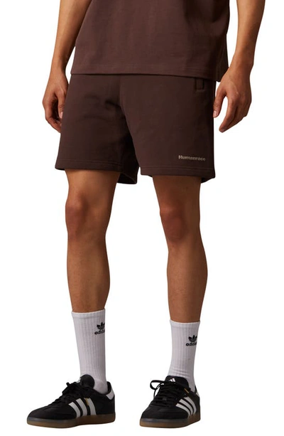 Shop Adidas Originals Adidas X Pharrell Williams Humanrace Sweat Shorts In Brown