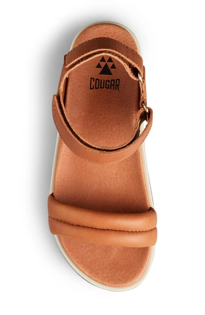 Shop Cougar Nolo Sandal In Cognac