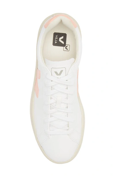 Shop Veja Urca Cwl Sneaker In White Bellini