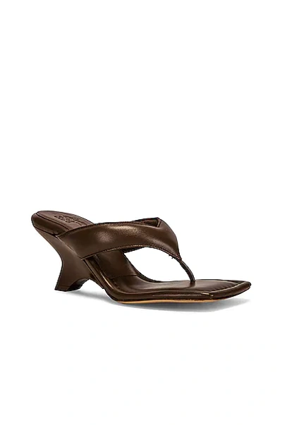Shop Gia Borghini Leather Thong Wedge Sandal In Coffee Brown
