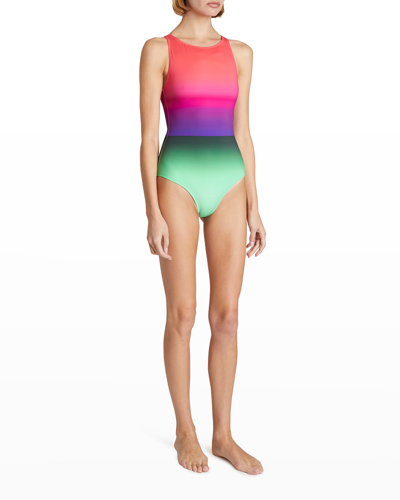 Shop Dries Van Noten Greta Ombre One-piece Swimsuit In Dessin A