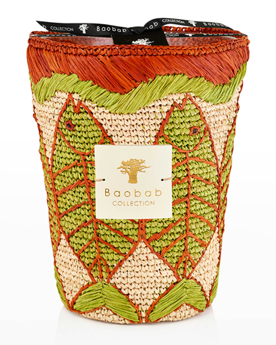Shop Baobab Collection 5 Kg Vezo Toliary Max24 Candle