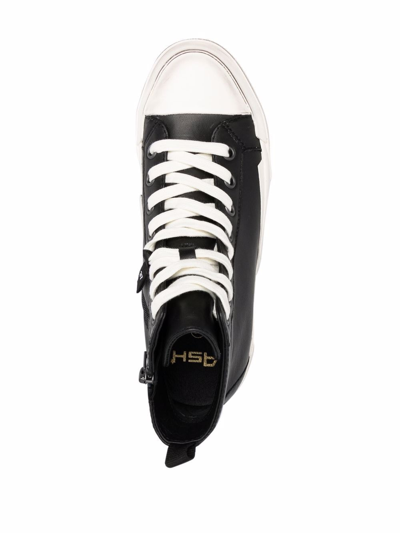 Shop Ash Sneakers Ghibly In Black