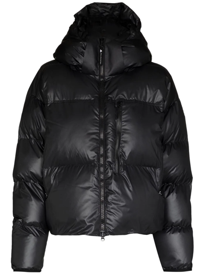 Adidas By Stella Mccartney Hooded Puffer Jacket In Black | ModeSens