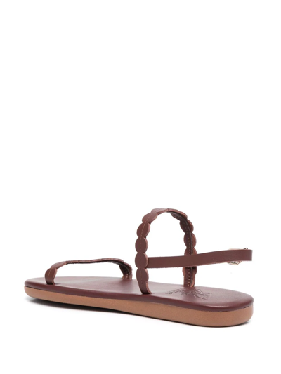 Shop Ancient Greek Sandals Aroula Leather Sandals In Brown