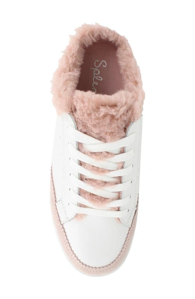 Shop Splendid Frieda Genuine Shearling Lined Slip-on Sneaker In Mauve