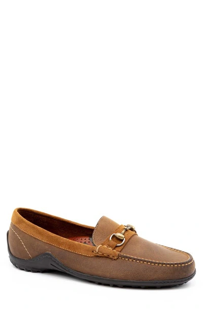 Shop Martin Dingman Bill Safari Horsebit Driving Shoe In Mocha