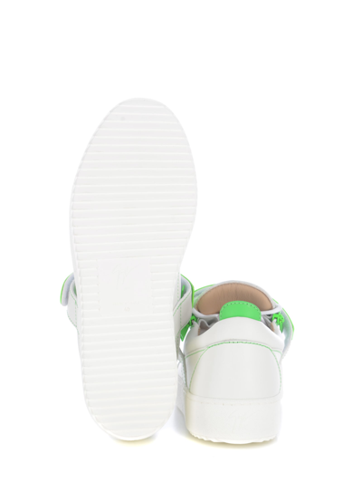 Shop Giuseppe Zanotti Sneakers  Fankie In Pelle In Bianco