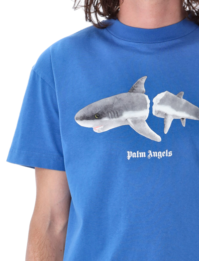 Shop Palm Angels Shark Classic Tee In Royal