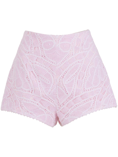Shop Martha Medeiros Bia Embroidered Mini Shorts In Pink