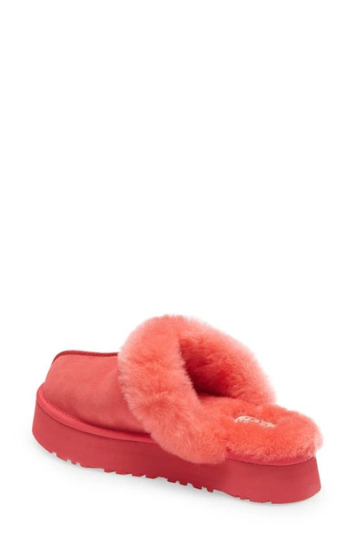 Shop Ugg Disquette Slipper In Hibiscus Pink Suede