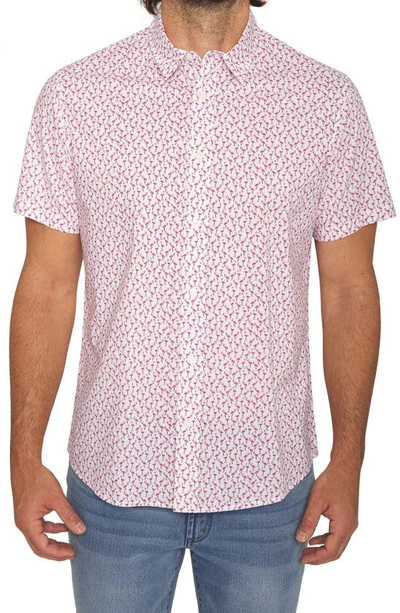 Shop Slate And Stone Short Sleeve Printed Poplin Shirt In Pink Flamingo