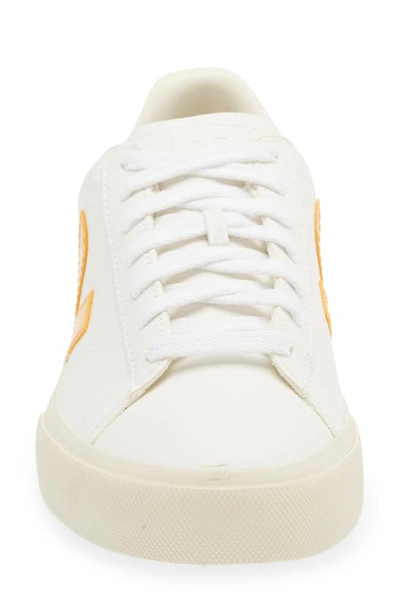 Shop Veja Campo Sneaker In Extra White Ouro