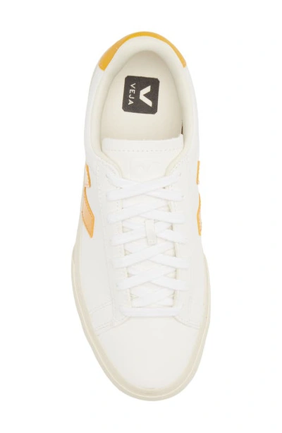 Shop Veja Campo Sneaker In Extra White Ouro