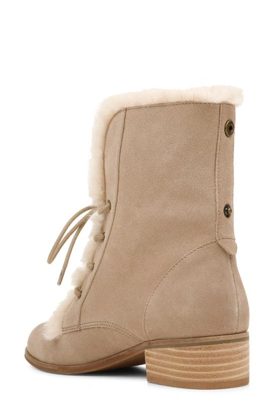 Shop Splendid Keilah Lace-up Boot In Taupe