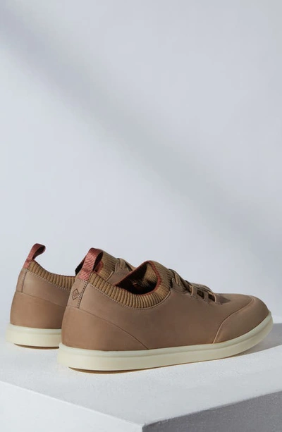 Shop Loro Piana Soho Leather Sneaker In Walnut