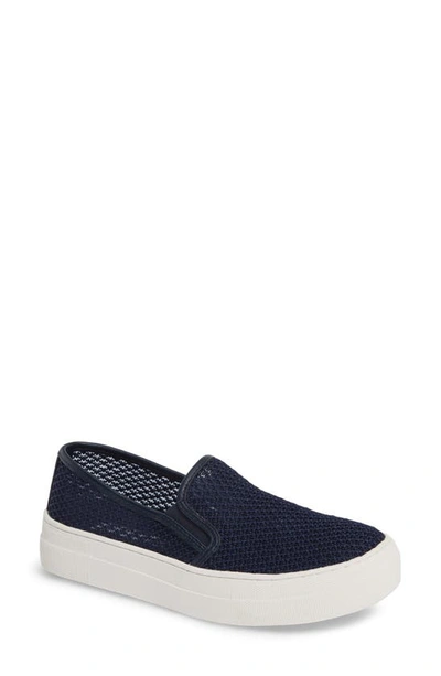 Steve madden deals gills mesh