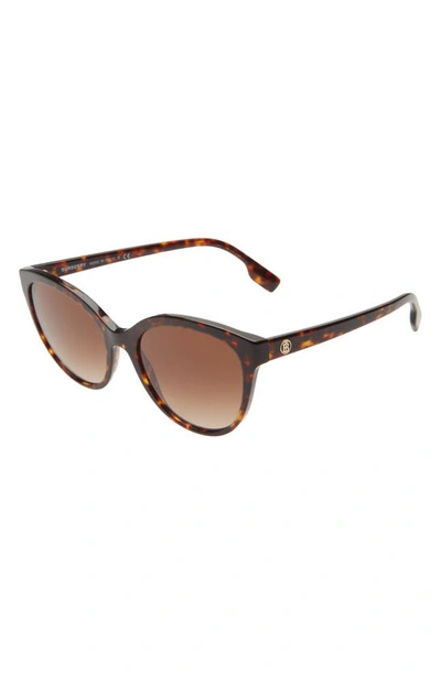 Shop Burberry 55mm Gradient Cat Eye Sunglasses In Dark Havana/ Brown Gradient