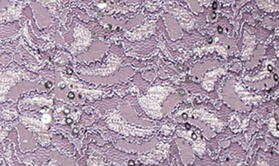 Alex Evenings Plus Size Sequined Lace A-line Dress In Icy Orchid