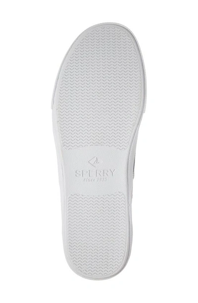 Shop Sperry Striper Ii Cvo Core Sneaker In Sw Grey Canvas