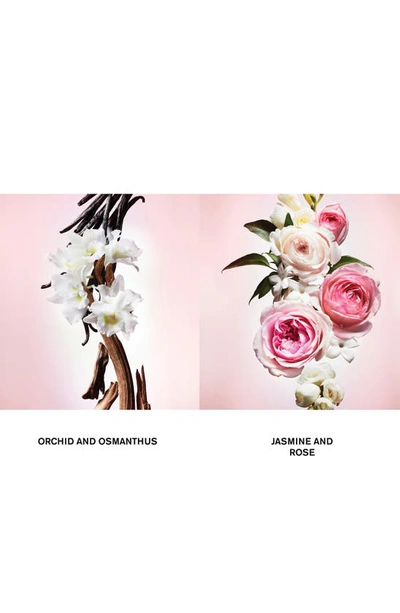 Viktor & Rolf Flowerbomb Eau De Parfum With Vanilla, Jasmine, And Rose 5 oz/ 148 ml