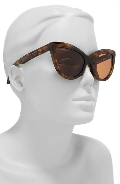 Shop Balenciaga 57mm Cat Eye Sunglasses In Havana