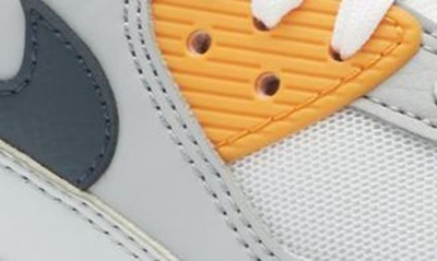 Nike Air Max 90 Sneaker In Platinum/grey/crimson/navy