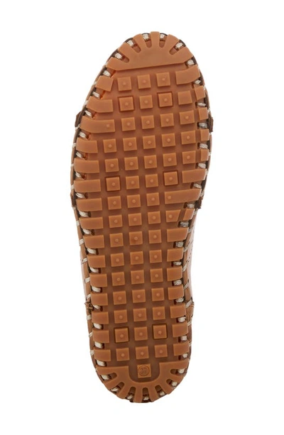Spring Step Fusalide Mule In Brown