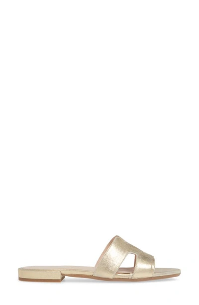 Shop Patricia Green Hallie Slide Sandal In Gold Metallic Suede