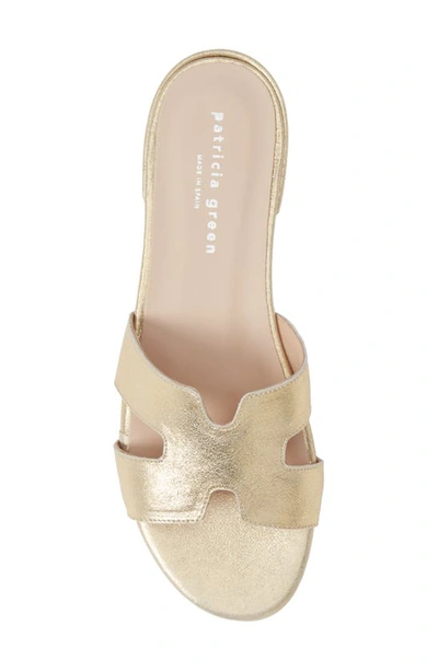 Shop Patricia Green Hallie Slide Sandal In Gold Metallic Suede