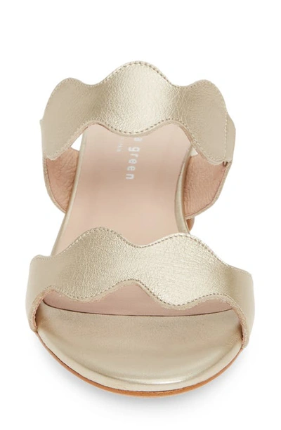 Patricia Green Palm Beach Slide Sandal In Gold Leather