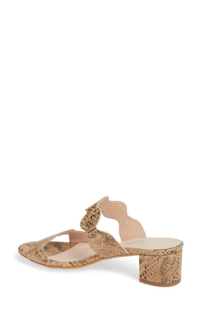 Shop Patricia Green Palm Beach Slide Sandal In Camel Leather