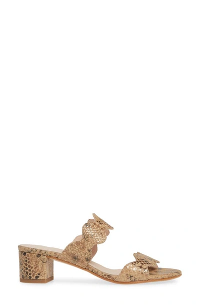 Shop Patricia Green Palm Beach Slide Sandal In Camel Leather