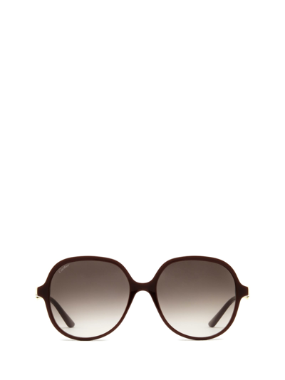 Shop Cartier Ct0350s Burgundy Sunglasses