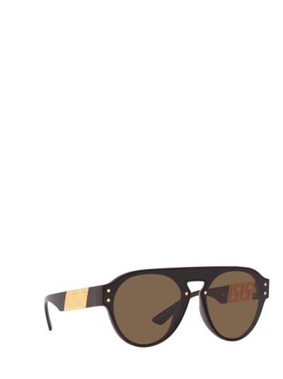 Shop Versace Ve4420 Brown Sunglasses