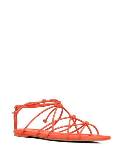 Shop Vince Kenna Strappy Sandals In Orange