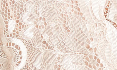 Wishlist Lace Bodysuit In Blush